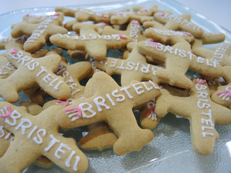 BRISTELL at AERO Friedrichshafen 2017