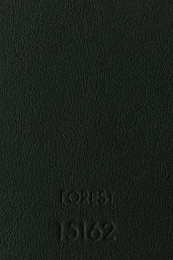 FOREST 15162