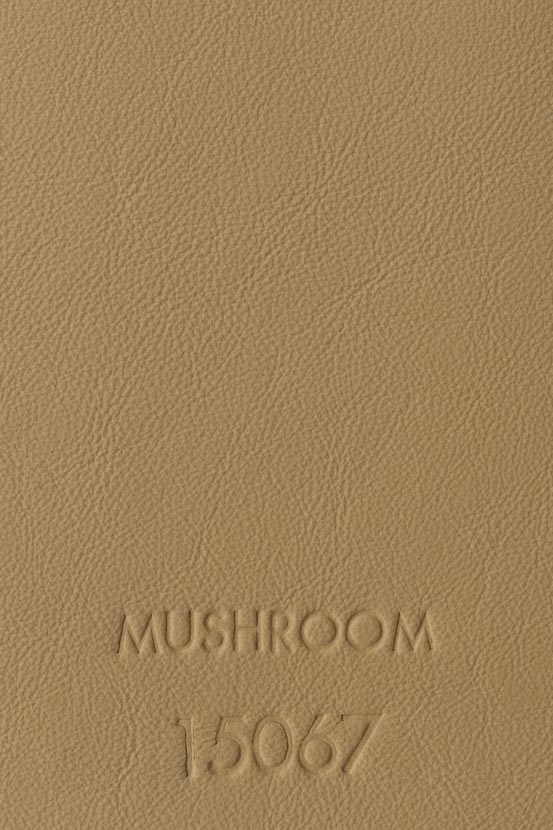MUSHROOM 15067