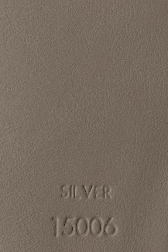 SILVER 15006